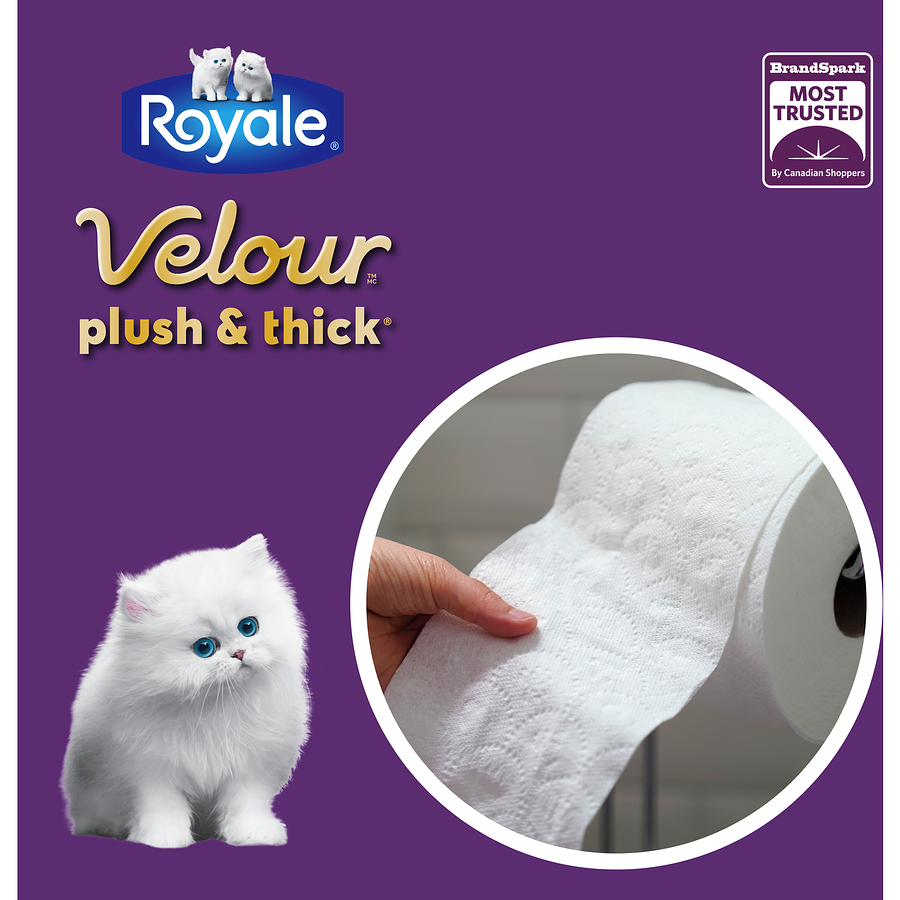Velour Toilet Paper, 30 = 62  Rolls, 147 Bath Tissues per Roll 2 ply - Free Ship